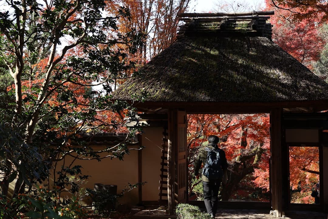 Days Into Ceasefire, French Peacekeeper Killed in Lebanon