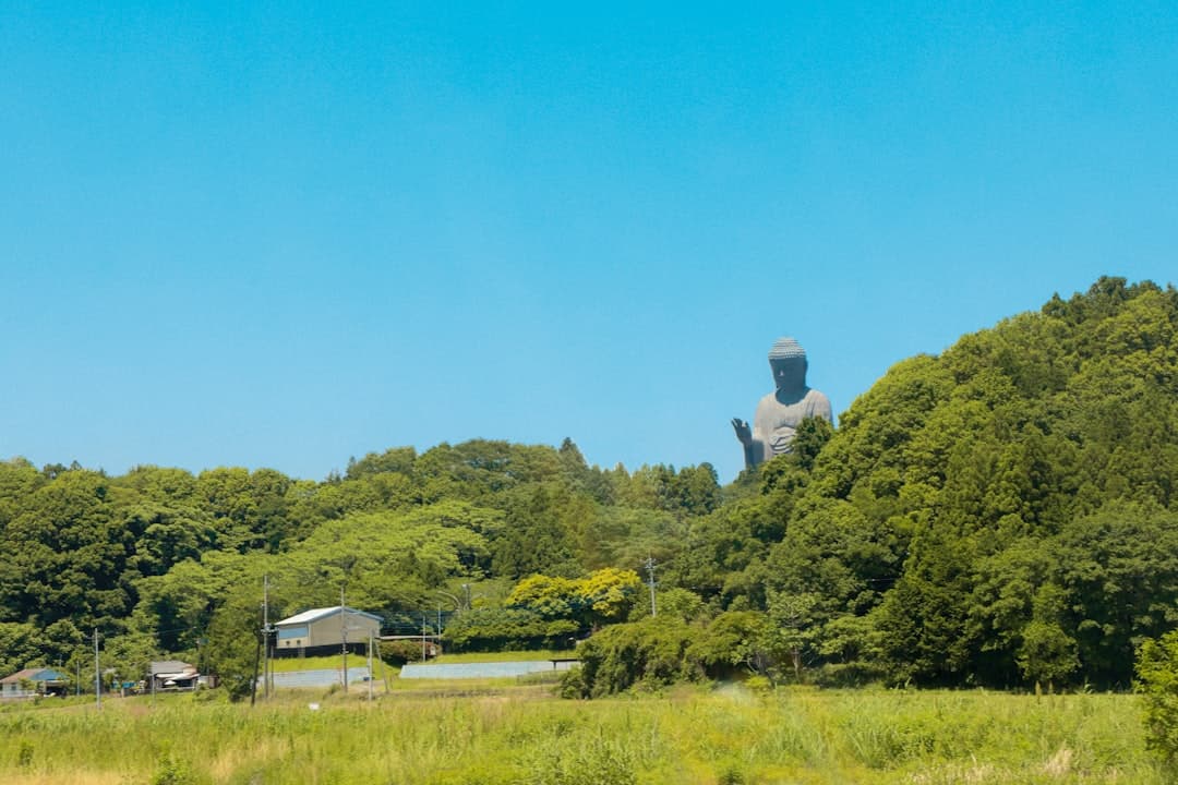 Ibaraki Starts ¥10,000 Tip Rewards — Program Is Now Live