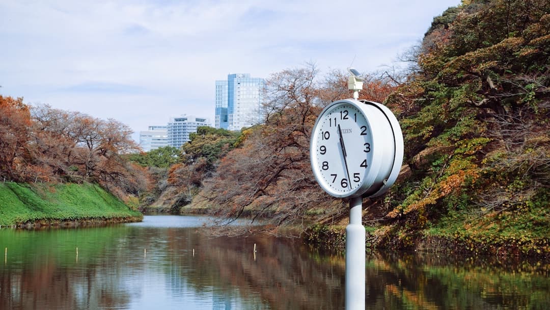 How Long Does Japan PR Take in 2026? Real Timelines & Prep